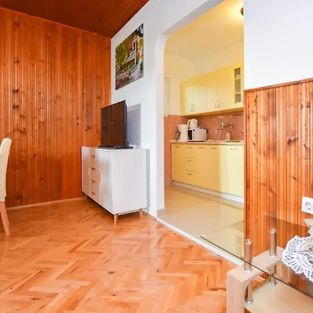 Dandelion Biograd Na Moru