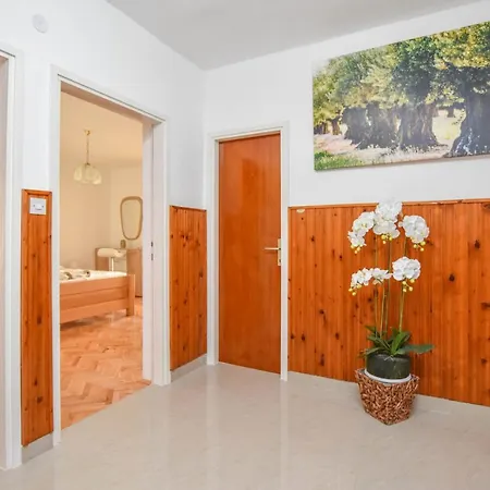 Appartement Dandelion