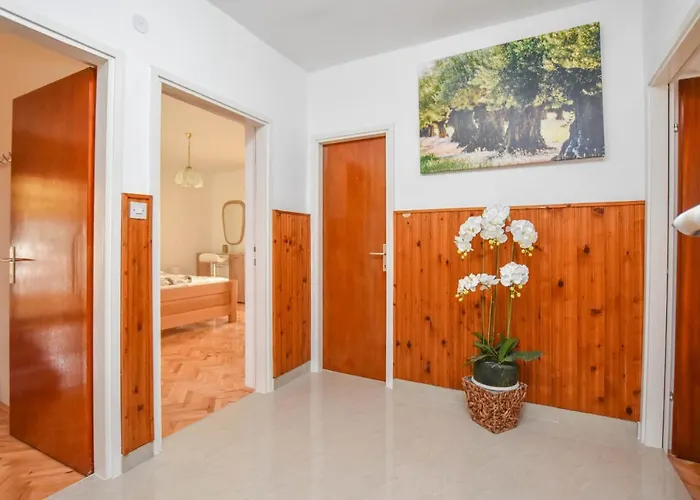 Apartmán Dandelion