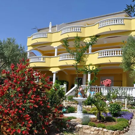 Apartment Dandelion Biograd Na Moru