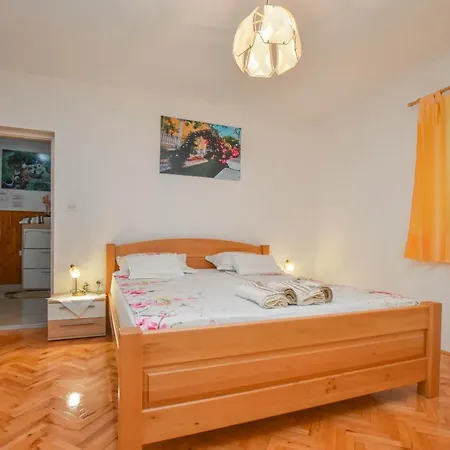 Dandelion Biograd Na Moru