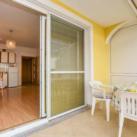 Apartment Dandelion