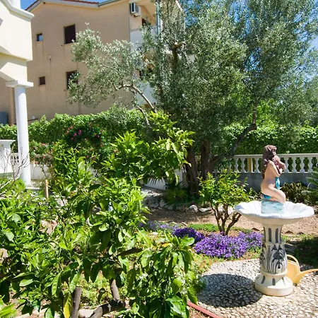 Dandelion * بيوغْغاد نا موغو