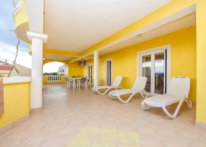 Dandelion * Biograd Na Moru