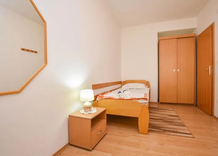 Dandelion Daire Biograd Na Moru