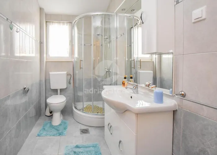 Dandelion * Biograd Na Moru