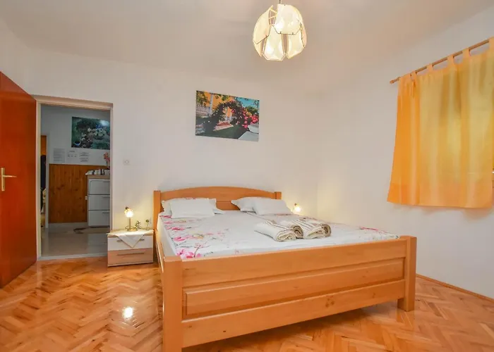 Dandelion Biograd Na Moru