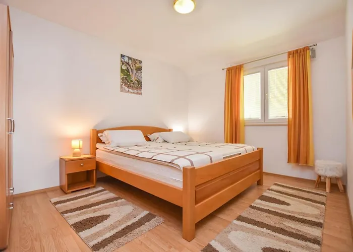 Dandelion * Biograd Na Moru