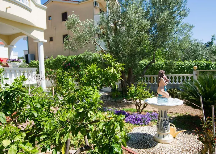 Dandelion * Biograd Na Moru